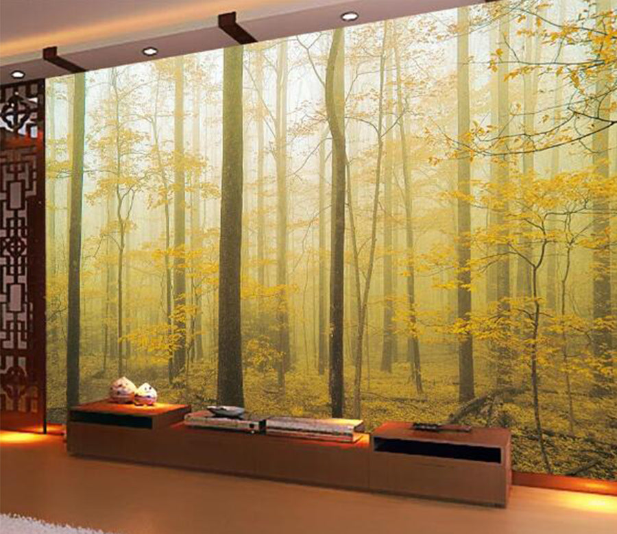 3D Foggy Forest WC116 Wall Murals