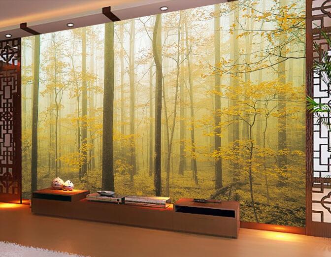 3D Foggy Forest WC116 Wall Murals